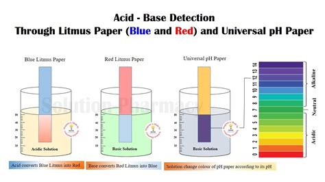 how does litmus paper work